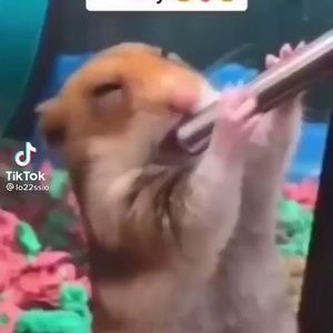 Meet your Posher, Parley